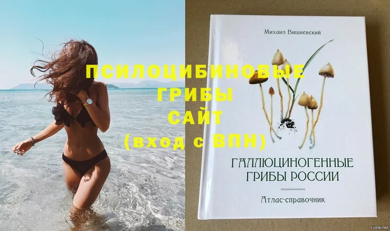 Псилоцибиновые грибы GOLDEN TEACHER  omg ССЫЛКА  Шумерля 